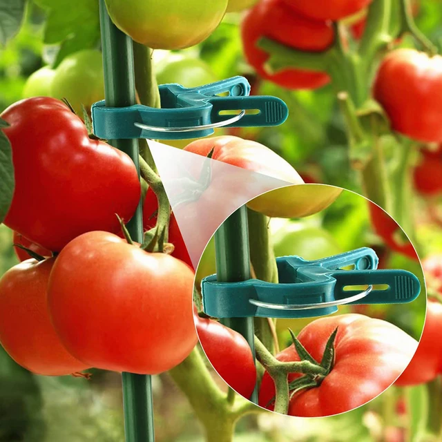 20 db Növényi Klipek Újrahasznosítható Időjárásálló Rozsda Nincs A Szár Hegymászó Paradicsom -Uborkának Dinnye