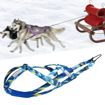 Professional Dog Sledding Harness 1