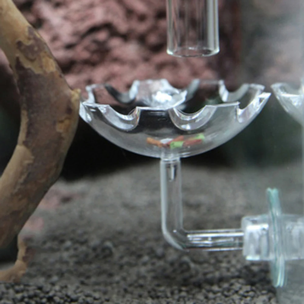 

Transparent Glass Shrimp Feeding Dish Multifunctional Acrylic Shrimp Bowl Fish Tank Aquarium Products With Suction Cups