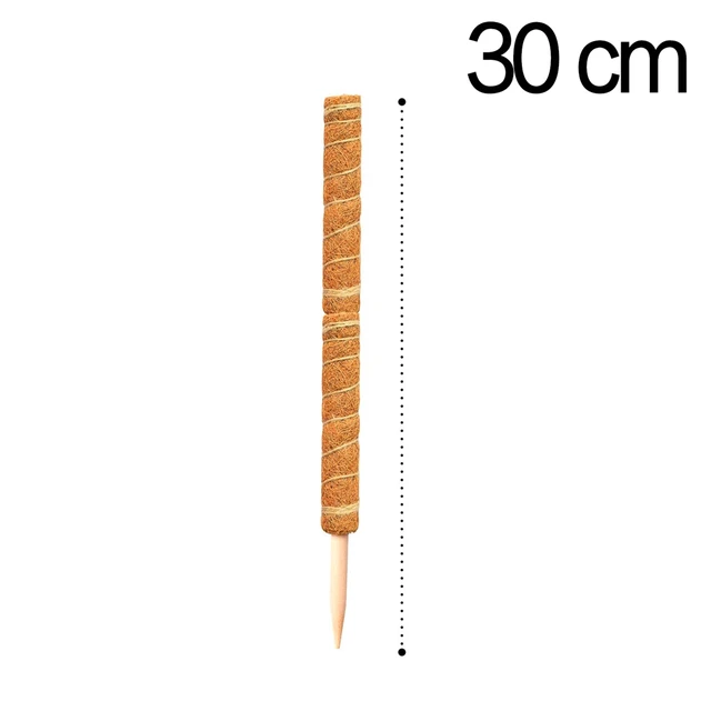 30CM