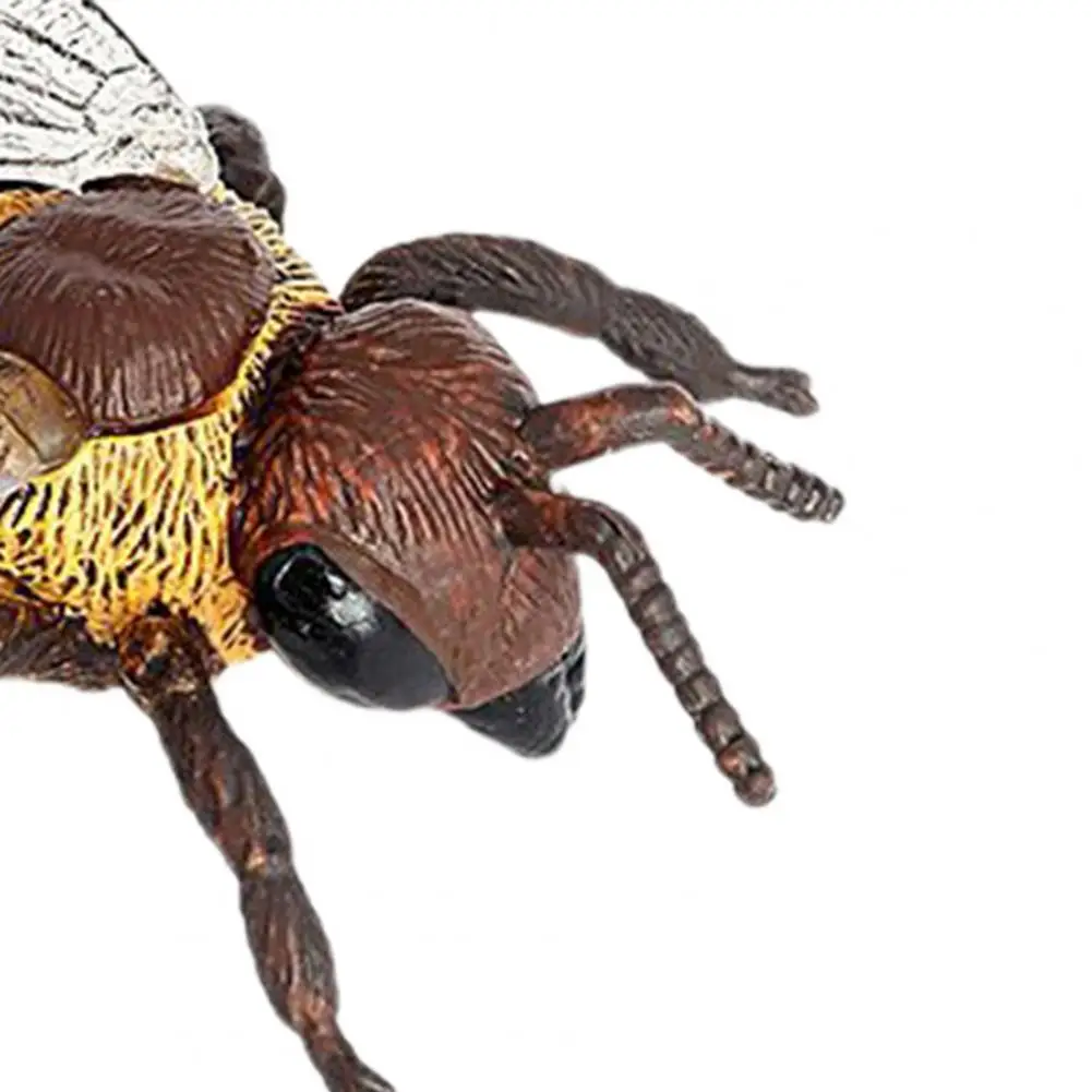 Miniature Ornament Miniature Figurines PVC Bee Model Clear Texture Honeybee Sculpture Decor Collect Gift