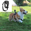 SJCAM Pet Harness Mount Or Head Strap Or Chest Mount Harness For C300 C200 C100 SJ20 SJ11 SJ10 SJ8 SJ6 SJ5000 SJ4000 Action Cam 2