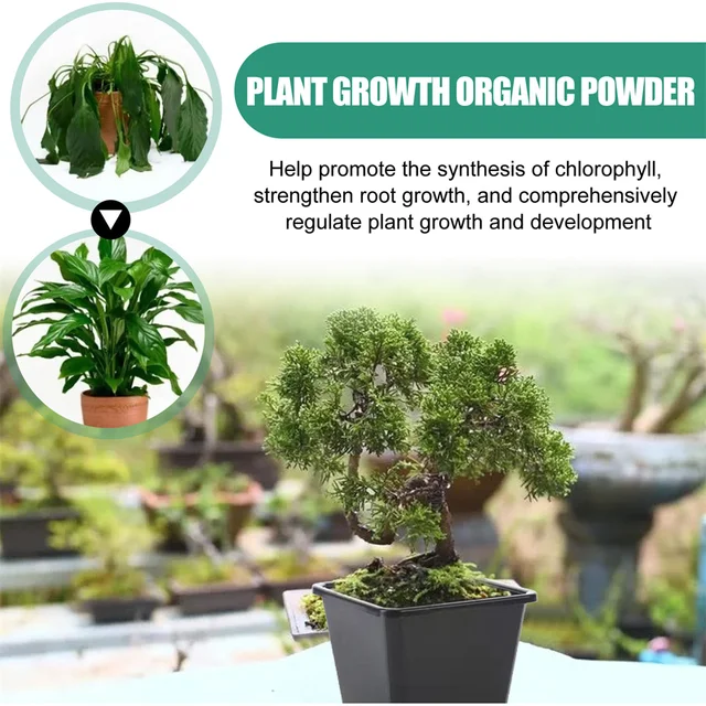 Kertészeti Kulturális Speciális Csontpor Virág Műtrágya Trágya Foszfor Kalcium Elősegíti A Növekedés Gyümölcs Zöldségeket - Image 2