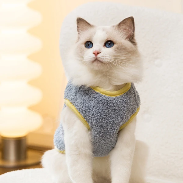 Happy Cat Supply Store Store