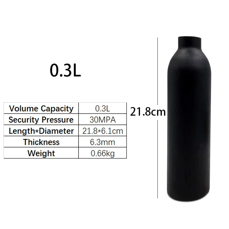 portable gas cylinder