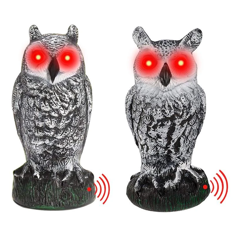 Fake Owls Scare Away Hummingbirds Animals Fake Owls Scare Away