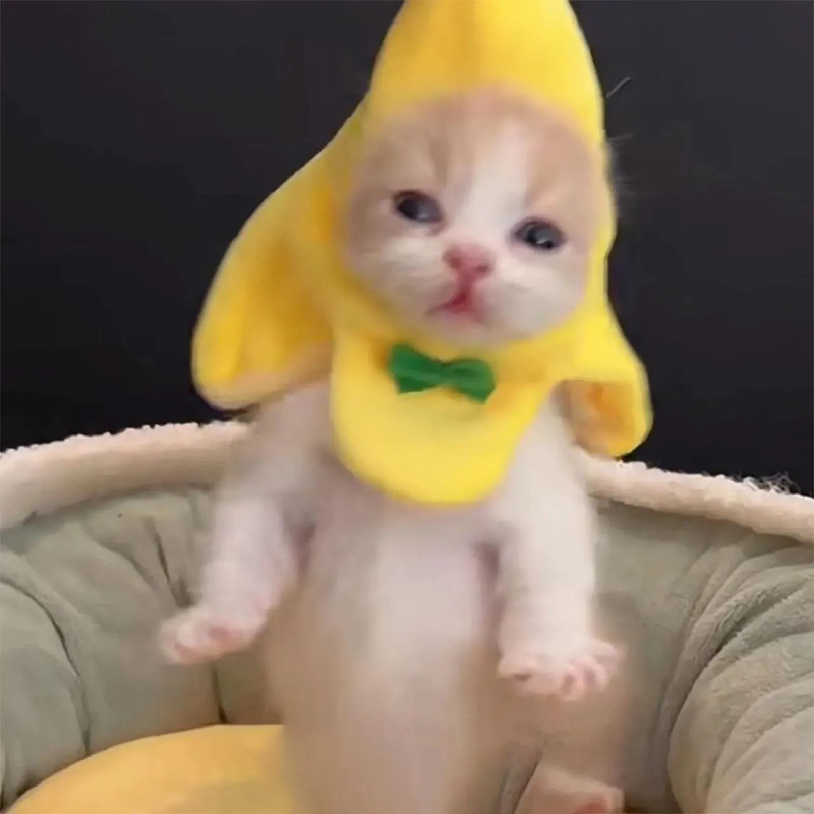 애완 동물 헤드피스 경량 고양이 모자, 고양이 모자, 사랑스러운 바나나 모양 애완 동물 모자, 활 눈길을 끄는 모자, 애완 동물 코스튬 액세서리