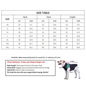 T-Shirt pour chien Moncler - 2025 - Doglovedesign : Vêtement et accessoires pour chiens