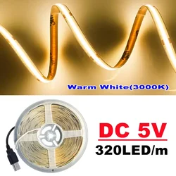 High - Density Flexible COB LED Light Strip with USB Power Supply (5M)