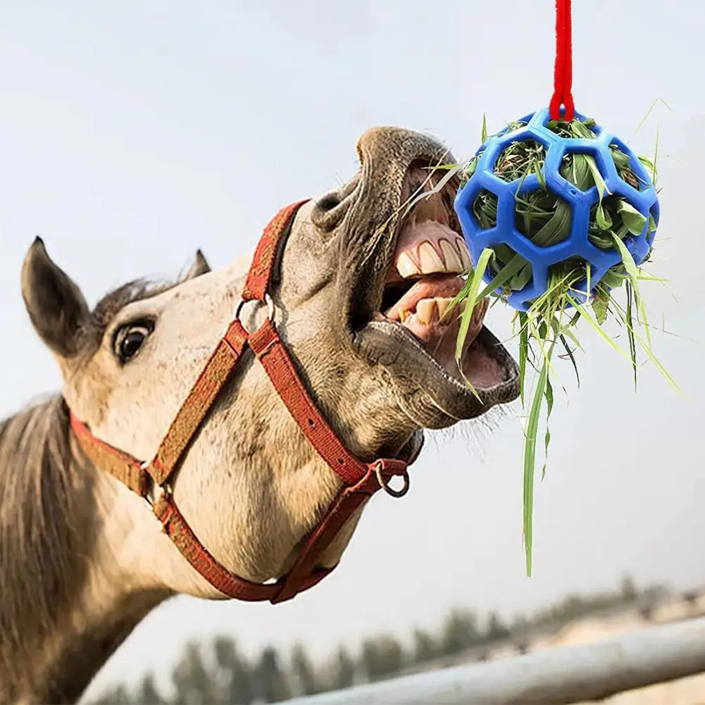Hanging Horse Toy Slow Feed Horse Ball Durevole Horse Goat Feeding Ball Con Corda In Nylon Per Alimentazione Lenta Erba Secca Per Cavalli