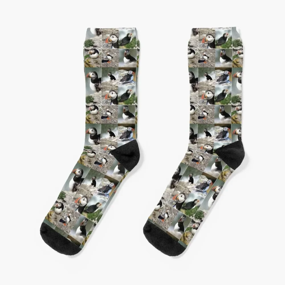 puffins Socks Stockings man Soccer Women Socks Men's