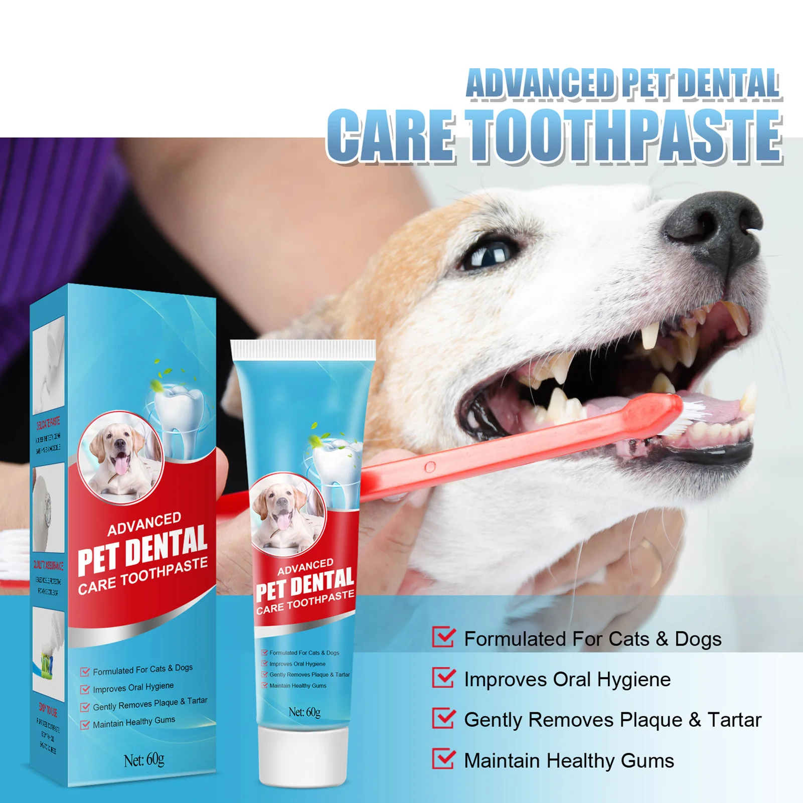 Can Dogs Use Toothpaste