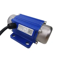 DC Brushless 12V 24V Vibration Motor High Frequency Conversion Miniature Vibrator Motors With Governor Digital Display 4