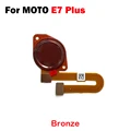 E7 Plus bronze