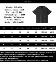 Manga Frieren T-shirt graphique décontracté pur coton à manches courtes t-shirts Vintage lavé surdimensionné T-shirt pour hommes femmes vêtements 5