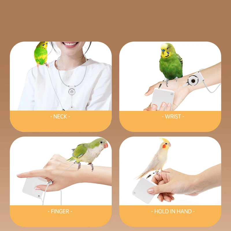 Bird Training Leash with Auto Flying Control for Parrots Stainless Steel Cord Auto Retractable Outdoor Fun Parrot Release Rope