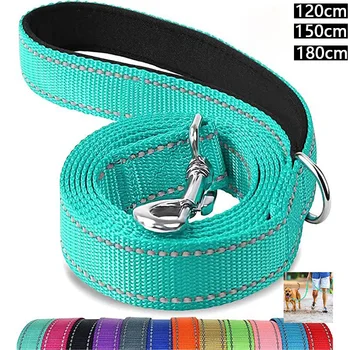 Night Reflection Pet Leash 1