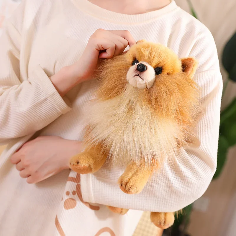 Cute Pomeranian Puppy Toys Cane Peluche Modello Realistico Cane Peluche Pet Regalo Decorazione Regalo