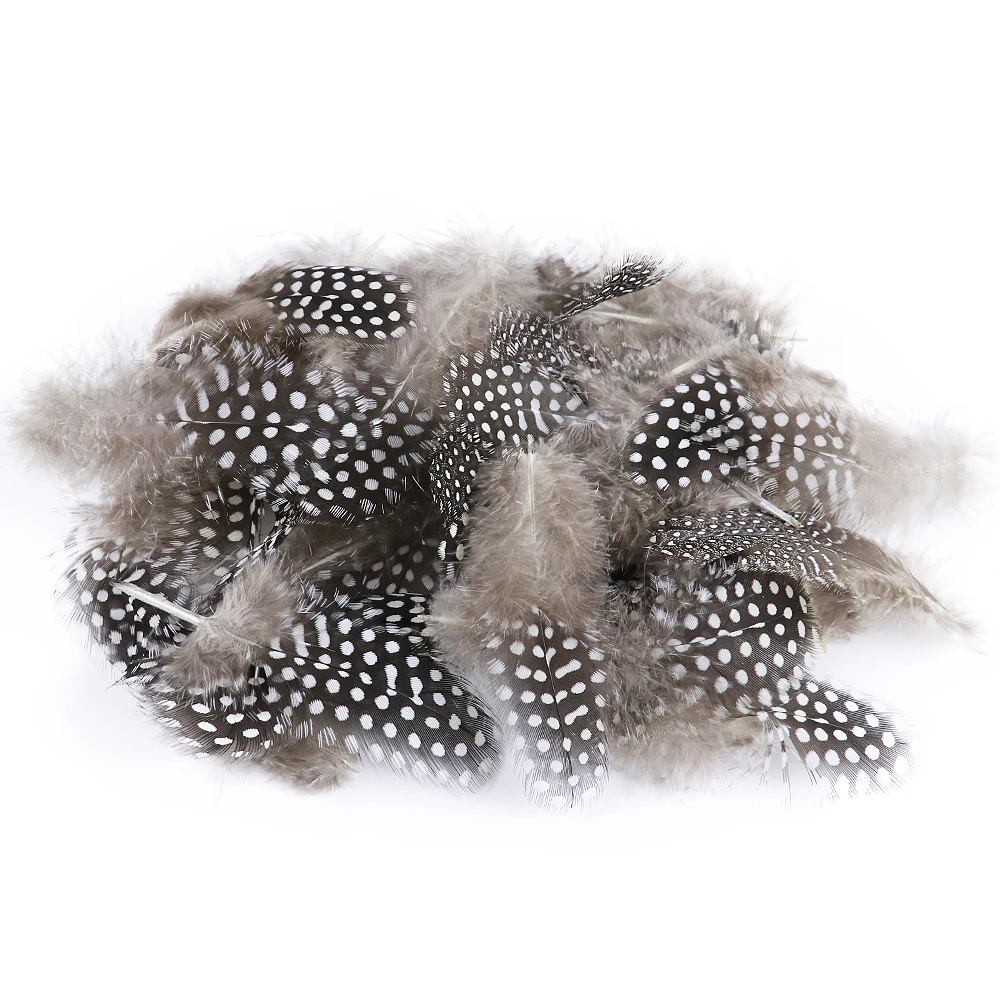Guinea Fowl Pheasant Feathers 100PCS 5-8cm for Crafts craft feathers,natural feathers,pheasant feathers
