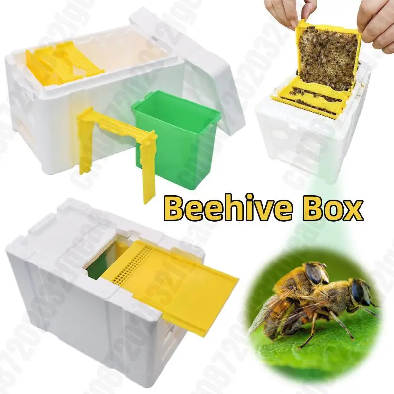 Bee Foam Pollination Boxes Beekeeping King Box Bee Hive Holder Beekeeping Kit Mating Supplies Home Garden Breeding Tools