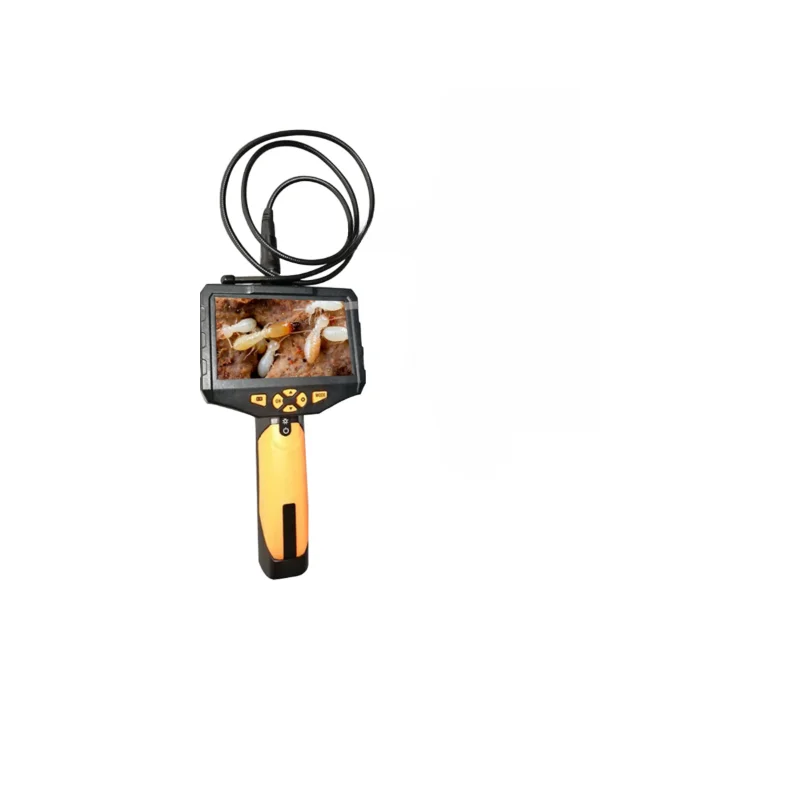 

Termite image detector, termite image, photo and video, termite tool