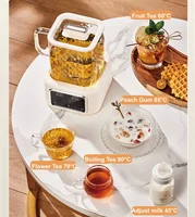 Mini-marmite de santé 1,2 L 110V/220V, bouilloire électrique en verre avec maintien au chaud automatique, théière à fleurs multifonction pour le bureau, pot à soupe et ragoût 2