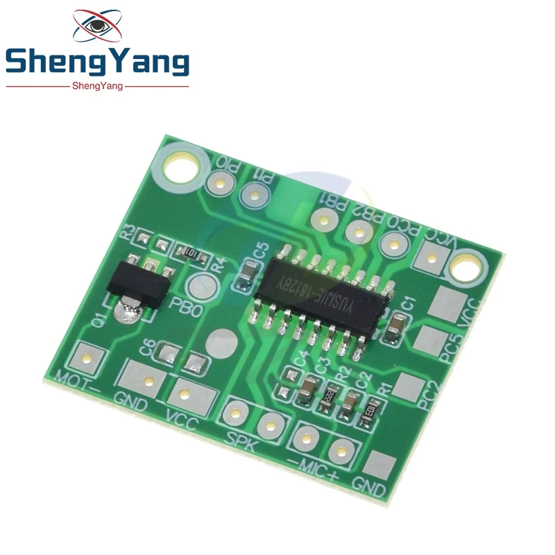 TZT DIY Sprachaufnahme- und Wiedergabemodul, Intelligente Sound-IC-Platine, Stimmveränderungsmodul für Spielzeug und Geschenkzubehör, DC 3V-5V – Detail 2