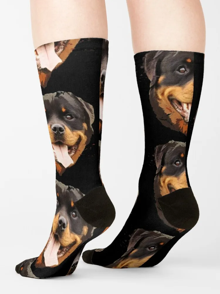 Рисунок 4 - Ротвейлер, носки для регби