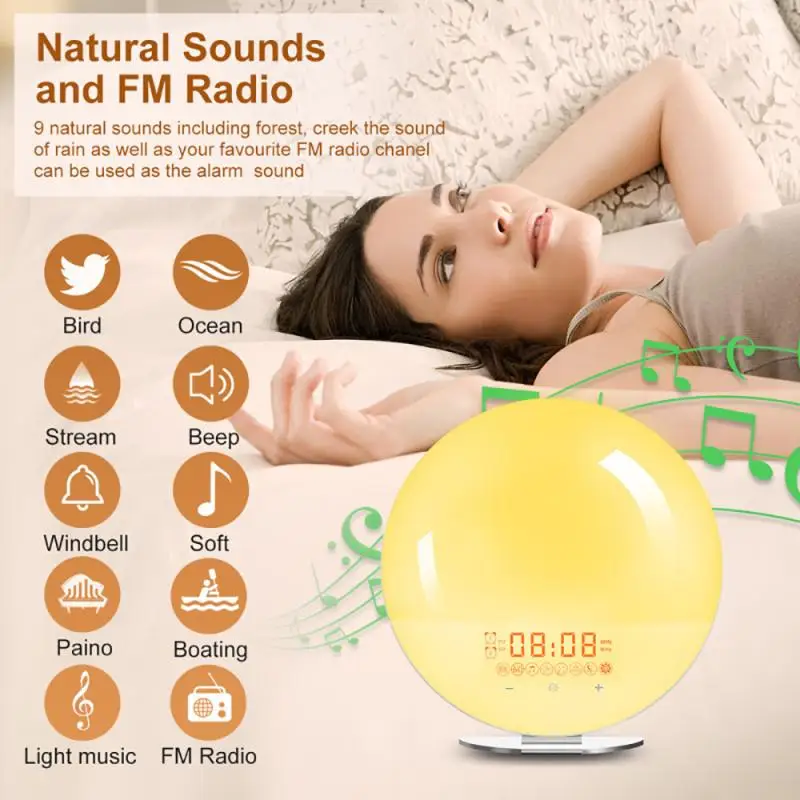 Wake up Light Night Light LED Sunrise Alarm Clock - China Clock and Night  Light price