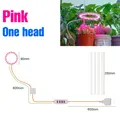 1 Head Pink