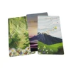 12×7CM Linescape Tarot Evolution , Narrow Line and Wide Landscape .NoStamping the line with GOLD FOIL with Guide Book 4