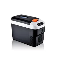 10L Mini réfrigérateur de voiture Portable refroidisseur plus chaud double usage voiture maison extérieur pour boissons Meds Fruits légumes cosmétiques 6