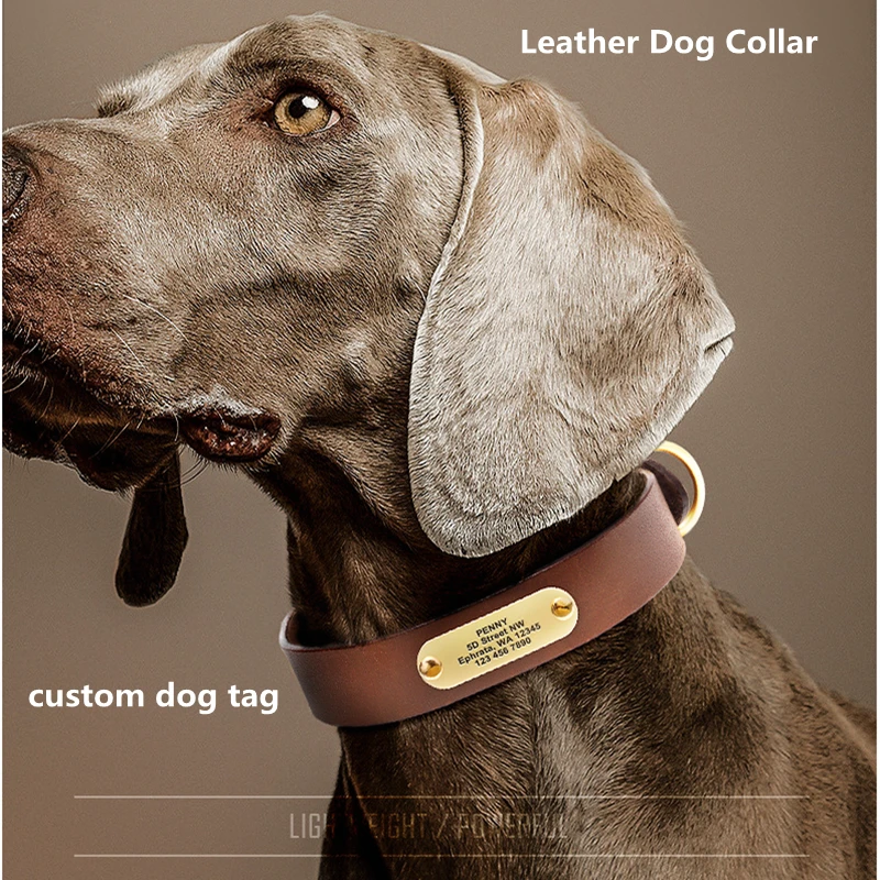 Collar de piel auténtica para perro, etiqueta personalizada para perro, collares perros pequeños y grandes, Shiba Inu, Labrador, Doberman, accesorios para perros| - AliExpress