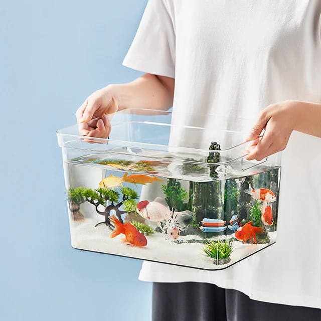 Aquarium de Bureau, Aquarium aquaponique, Filtre muet créatif Petit  Aquarium de Bureau Salon en Plastique sans Changer d'aquarium pour élever  des