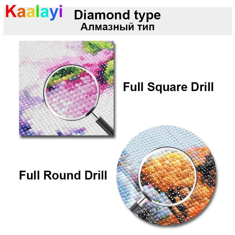5D DIY ̾Ƹ  Ϳ   Ǯ  ̾Ƹ ũ  ̾Ƹ ڼ ŰƮ, μ Ȩ Ʈ  97