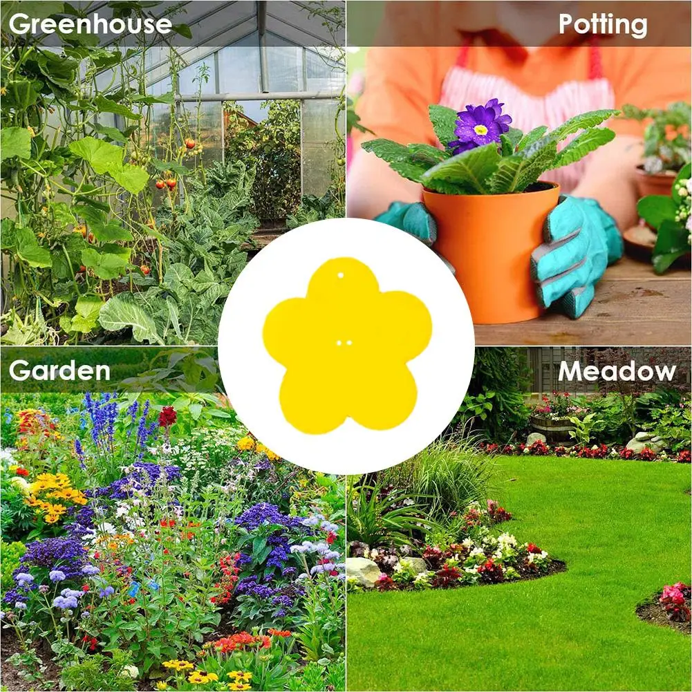 Dual-Sided Yellow Sticky Fly Traps Fruit Fly Trap 10pcs Yellow Sticky Traps Fly Paper for Indoor for Mosquito & Flying
