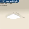 22W Natural White