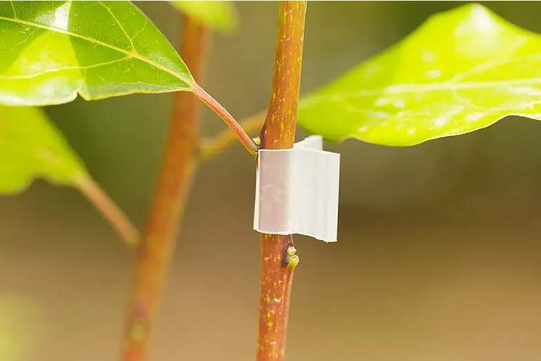 Sff1e8a0b9590477db4a327b6488e97e9U