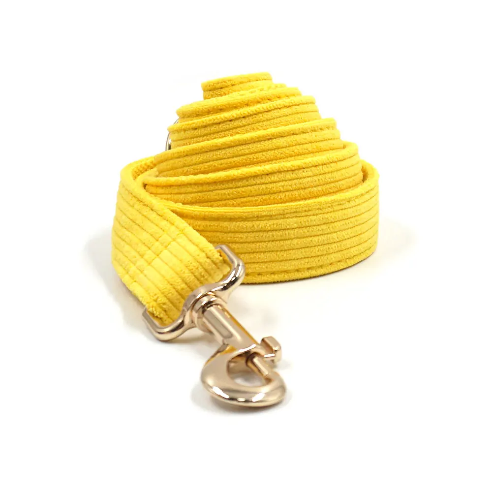 1-Leash