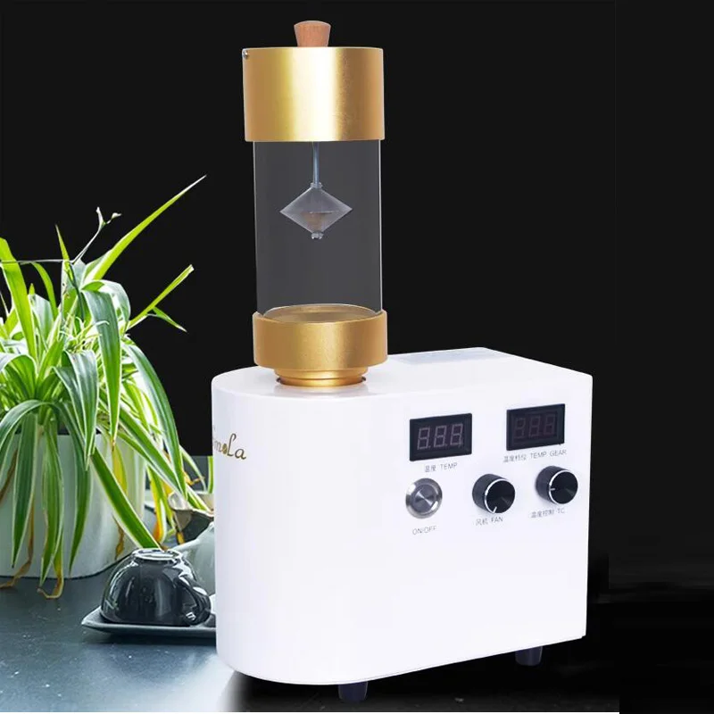 220V Electric 300g Coffee Beans Roasting Machine Black And White Coffee Bean Roaster Machine Cocoa Beans Roaster In Home