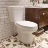 Elongated Toilet Two-Piece Toilets ADA Height 17.5" Comfort Chair Height Toilet Bowl With Soft Close Seat Dual Flush Toilet 1