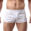 Men's Causal Homewear Shorts Man Sexy Bathing Suit Breathable Shorts Fashion Beachwear 2
