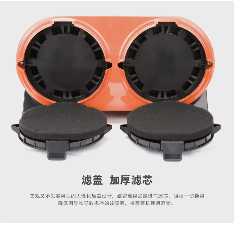 Pet Large Dog Special High-power Big Dog Blowing Silent Hair Dryer Double Motor