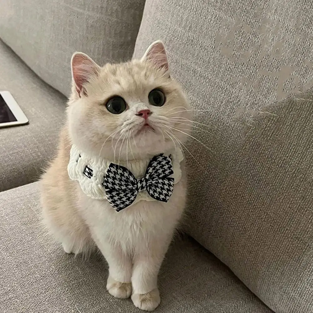 Beautiful Lace Pet Collar Cute Pet Collar with Bow Decoration Stylish Lace Design Cat with Bow Decoration for Comfortable