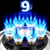 Double Stove Settable Time Desktop, Embedded Kitchen Cooking Bottled Liquefied Gas Pipeline Mounted Natural Gas Gas Stove 5