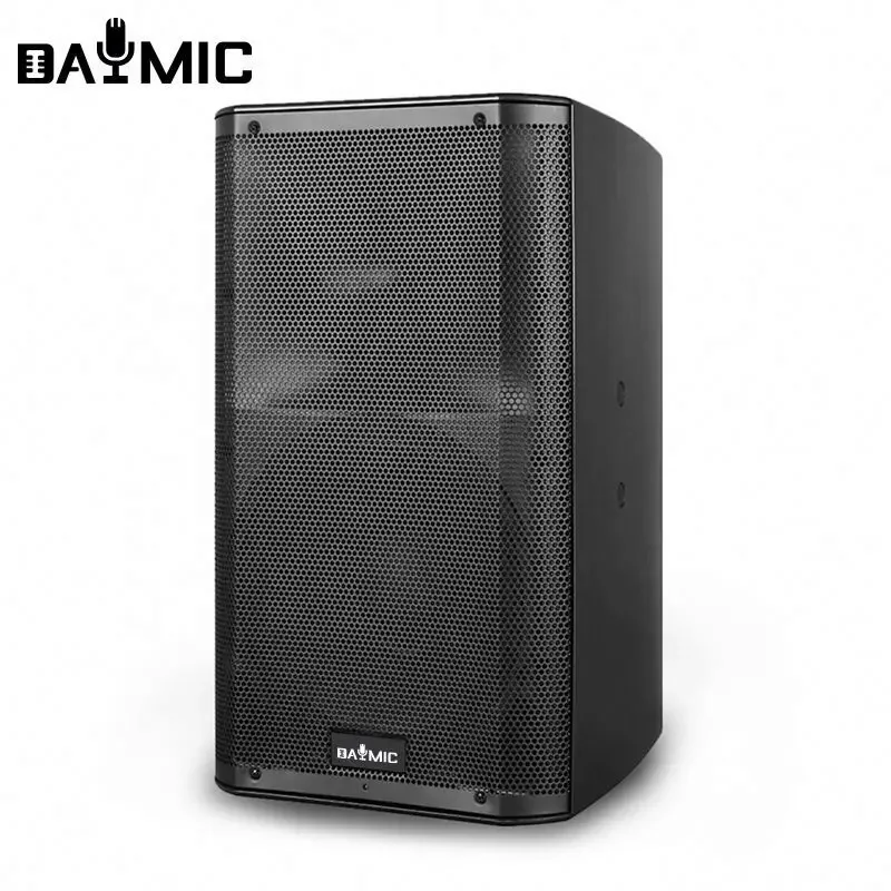 Professional Class D 1000W Power Amplifier With 12 Inch Speaker Active Full-Range Speakers