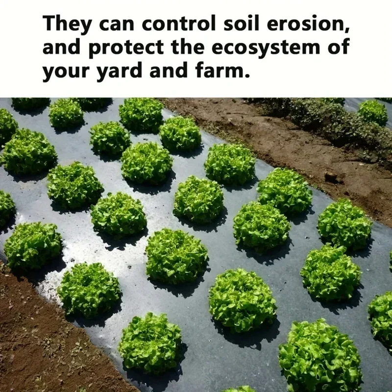 Black Plastic Mulch Film for Greenhouses and Plant Protection