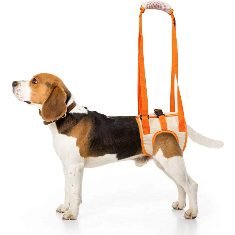 Bijdrage hoofdpijn Van storm Verstelbare Hond Sling Back Benen Heup Ondersteuning Huisdier Accessoires  Voor Canine Aid En Ligament Revalidatie Hond Lift Harnas| | - AliExpress