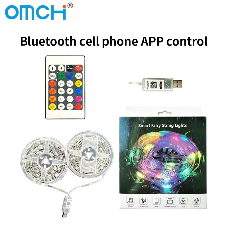 Led leather wire lights phantom color smart Bluetooth app control for Christmas