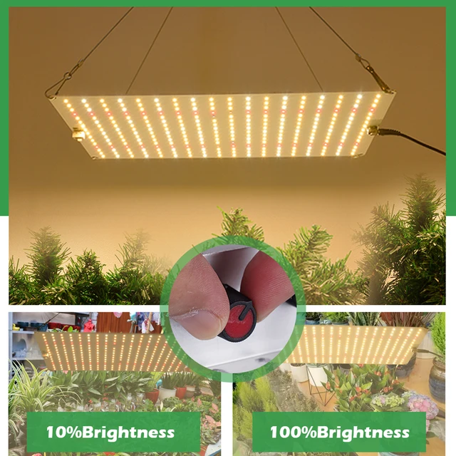 120W Samsung Lm281B Teljes Spektrum Led Grow Könnyű Zöldség És Virágzás Fitolamp Növény Spektrumú Hidroponikus Lámpa Üvegházhatású Virág - Image 6